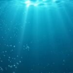 Dark oxygen discovered in the deep sea in groundbreaking study